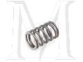 INNER VALVE SPRING